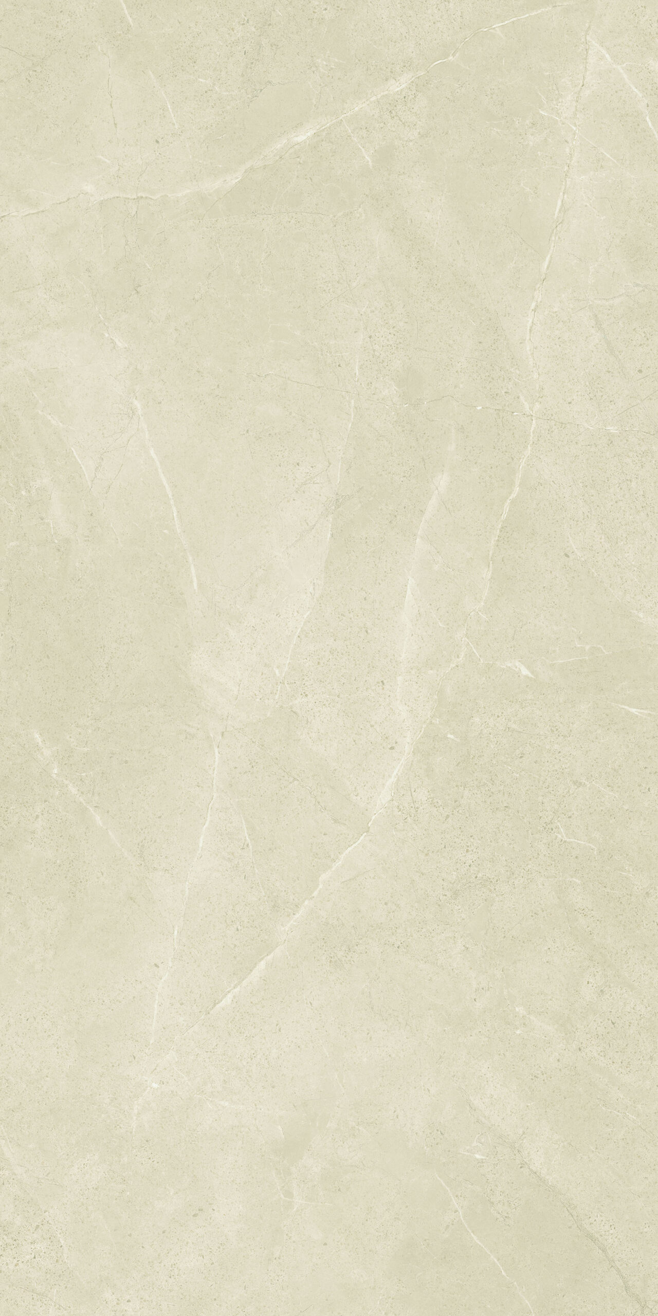 SAMA IVORY POLISHED 1 Sama 60x120 P Ivory F1.jpg scaled