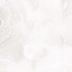 WhatsApp Image 2026-01-07 at 12.41.09