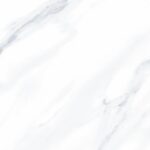 WhatsApp Image 2026-01-07 at 12.42.07