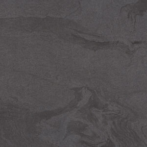 CIPPOLINO BLACK SUGAR